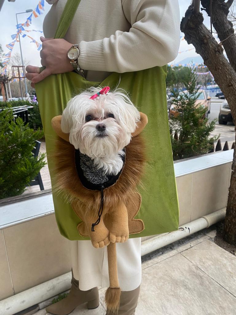 Müdür - Müdür Pet Aslan Model Omuz Çantası Yağ Yeşili